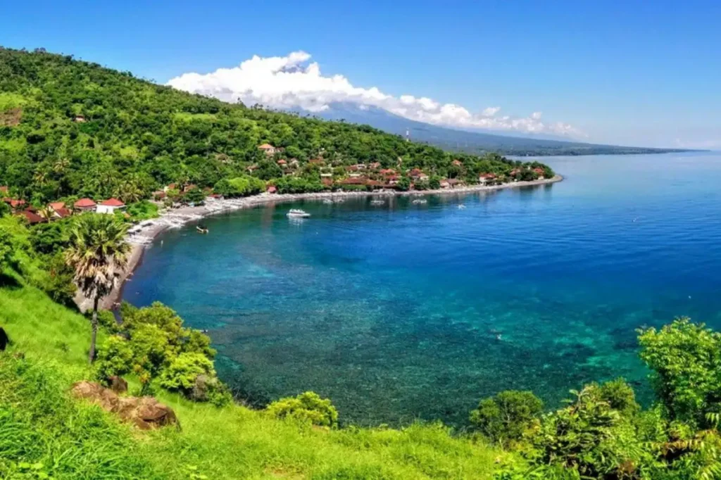 amed-view