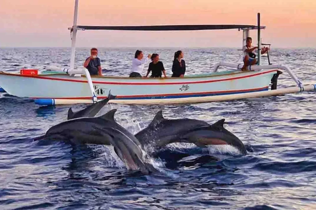 lovina-bali-dolphin