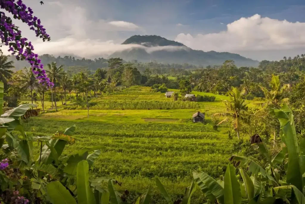 sidemen-bali-view