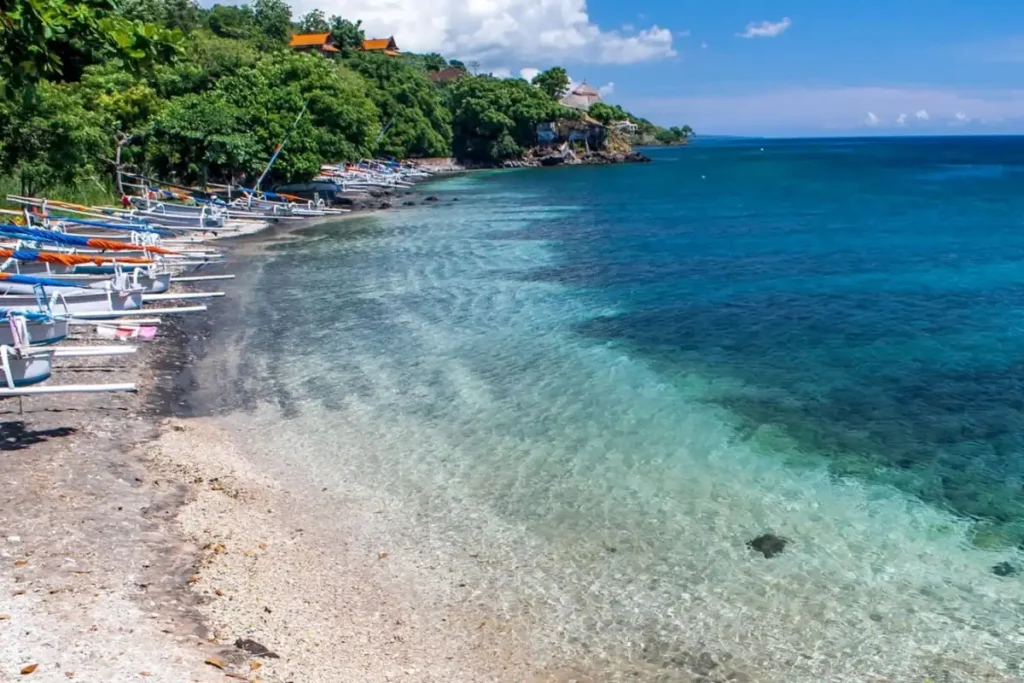 amed-bi-view
