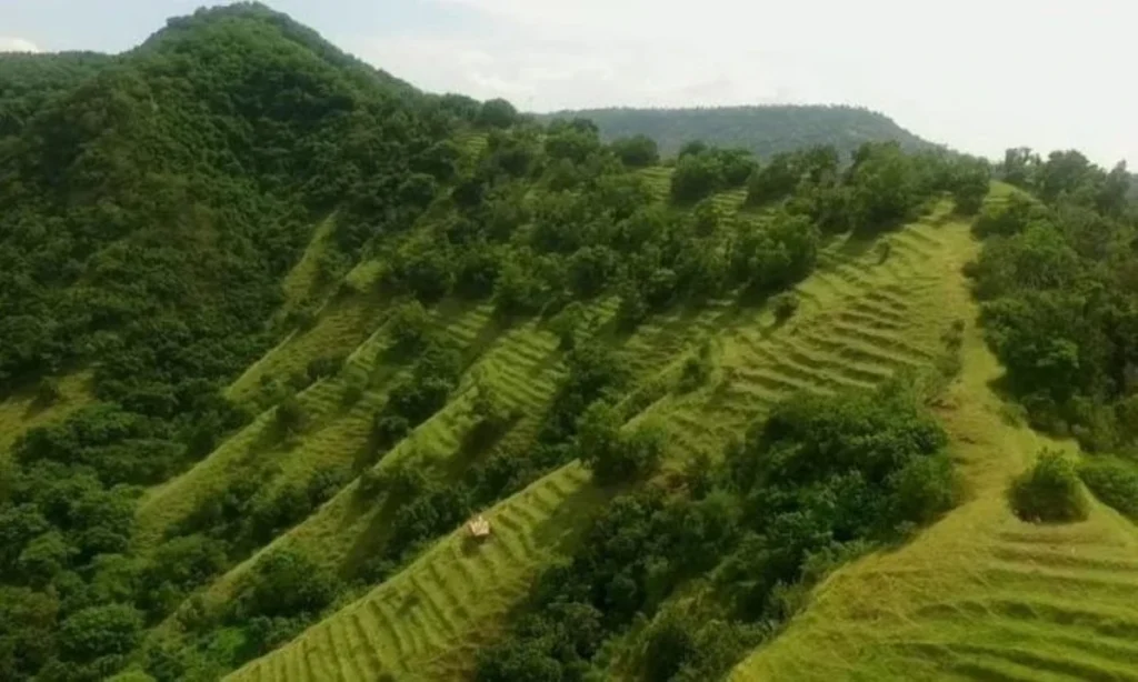 bukit-guungan