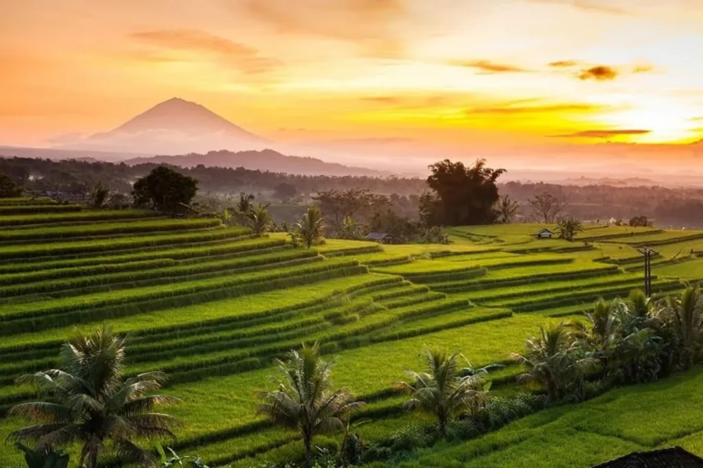 tabanan-bi