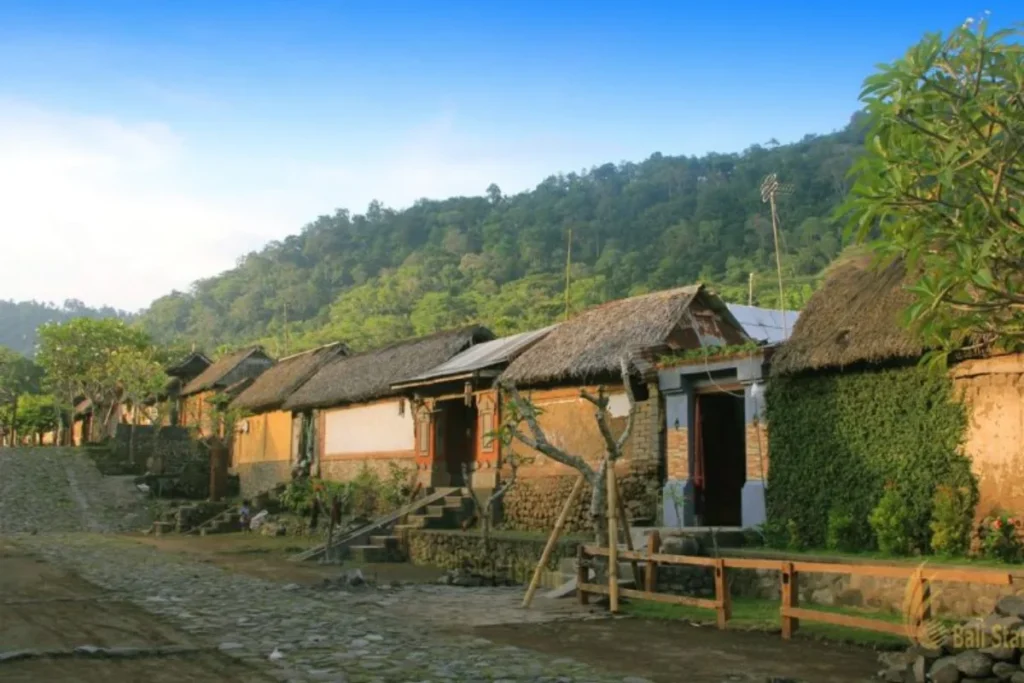 tenganan-pegringsingan-village