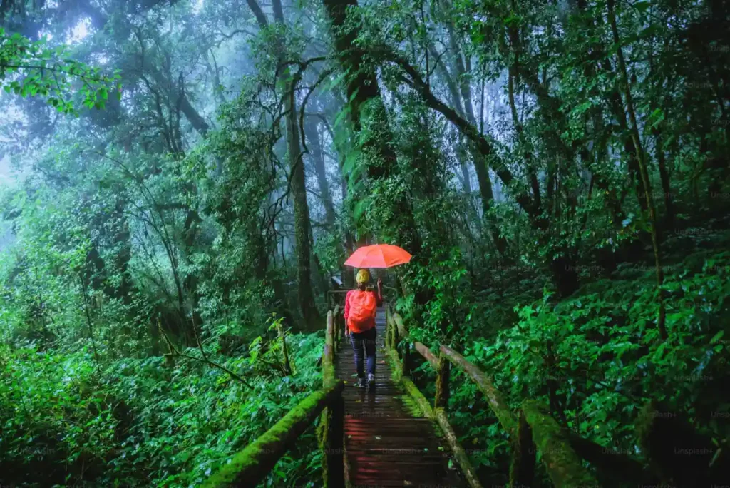 bali-what-to-wear-rain