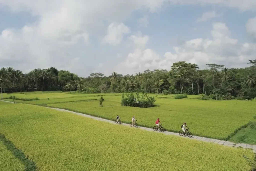 carang-sari-village