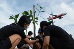 Company led tree planting program in Bali