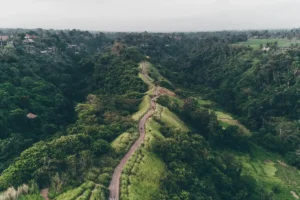 Campuhan Ridge Walk is a paved, two-kilometer trail that follows the crest of a hill between two river valleys, the Wos and the Cerik rivers.
