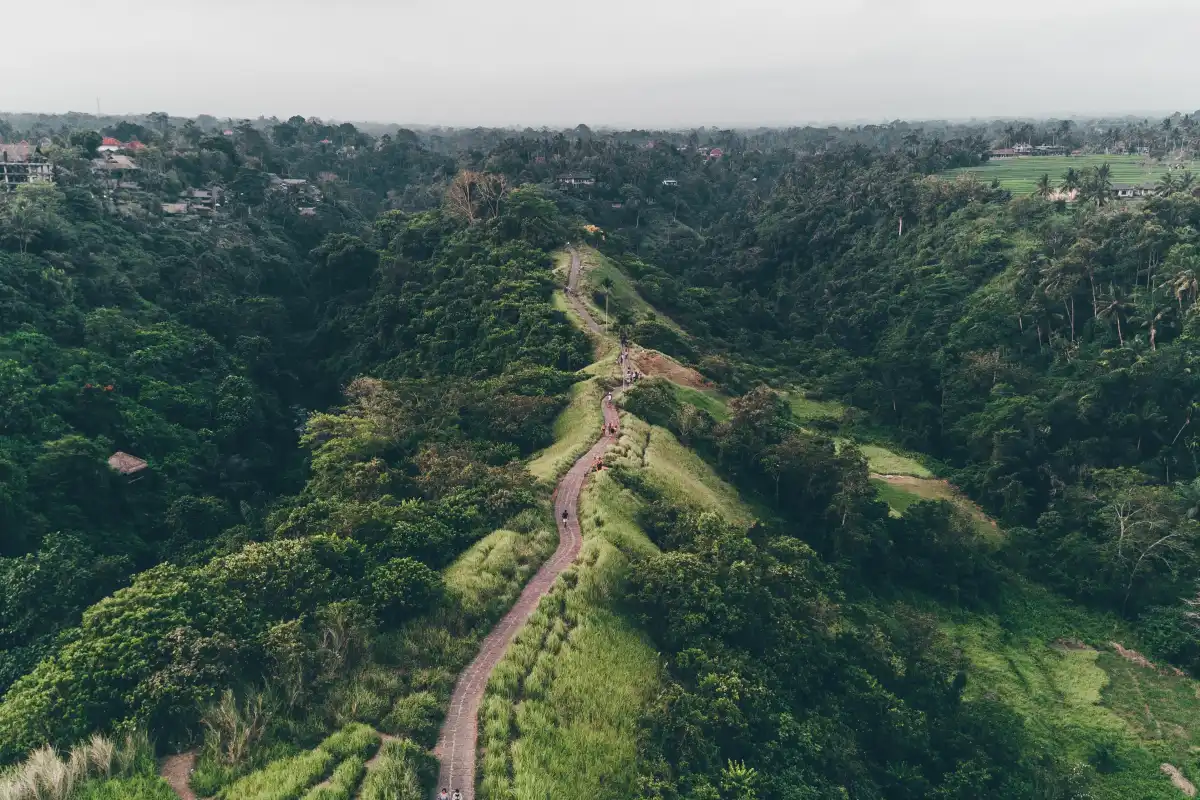 Campuhan Ridge Walk is a paved, two-kilometer trail that follows the crest of a hill between two river valleys, the Wos and the Cerik rivers.