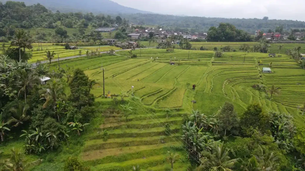 subak-heritage-bali