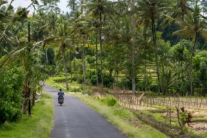Munduk roads