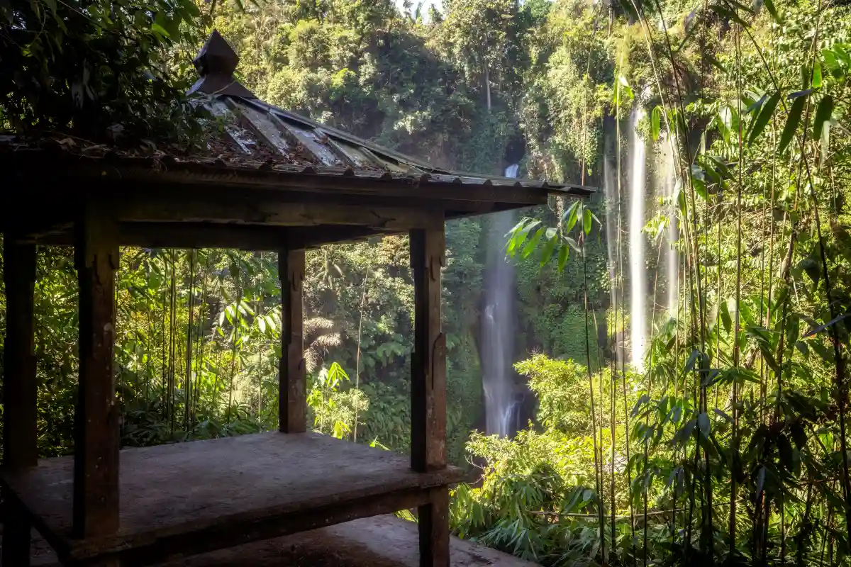 Terrace in munduk with waterfalls view