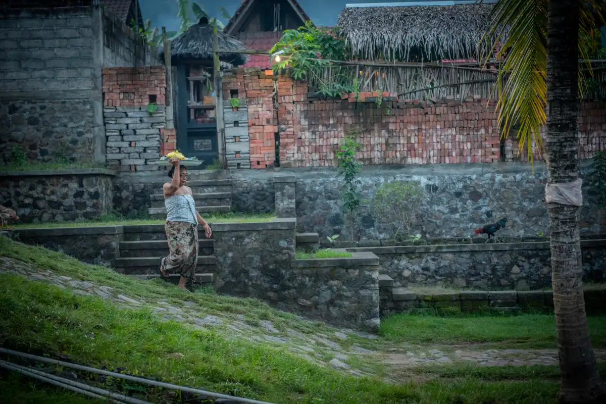 Traditional life in Tenganan
