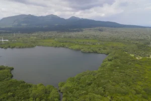 West Bali National Park aerial view