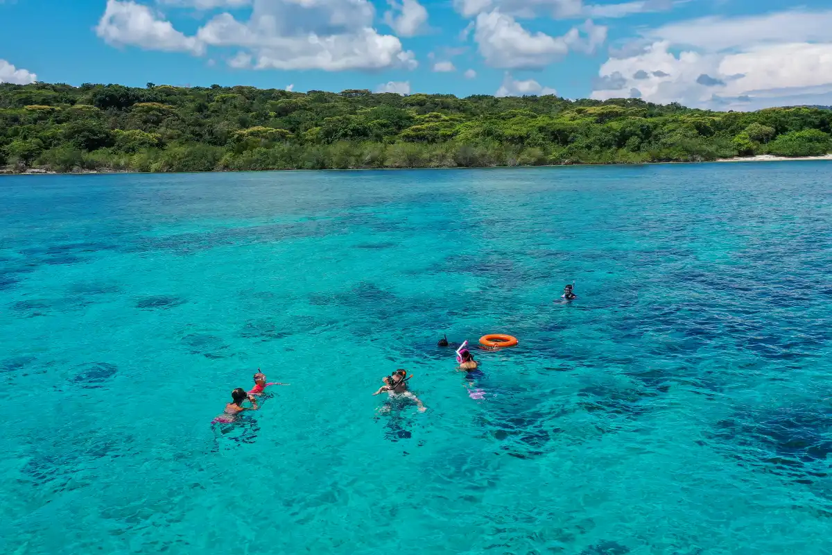 Menjangan Island snorkeling group
