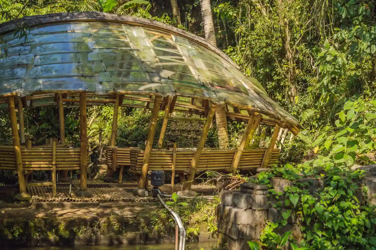 Sustainable bamboo learning environment surrounded by tropical vegetation in Bali