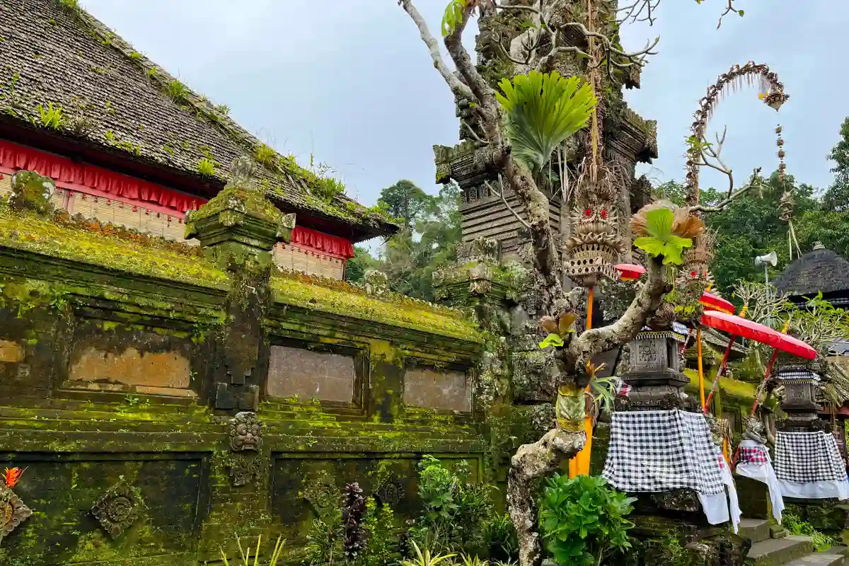 Moss covered walls in Penglipuran village