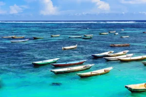 Summer in Bali is a perfect time for Study abroad program