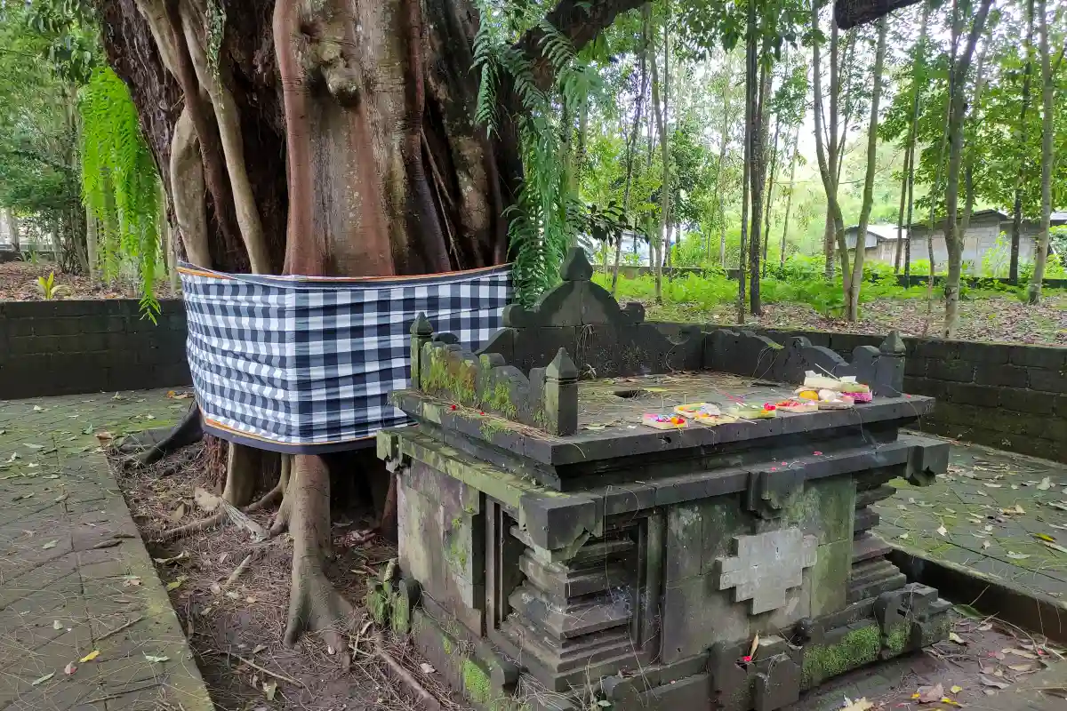 Mature trees surrounding a Balinese temple courtyard